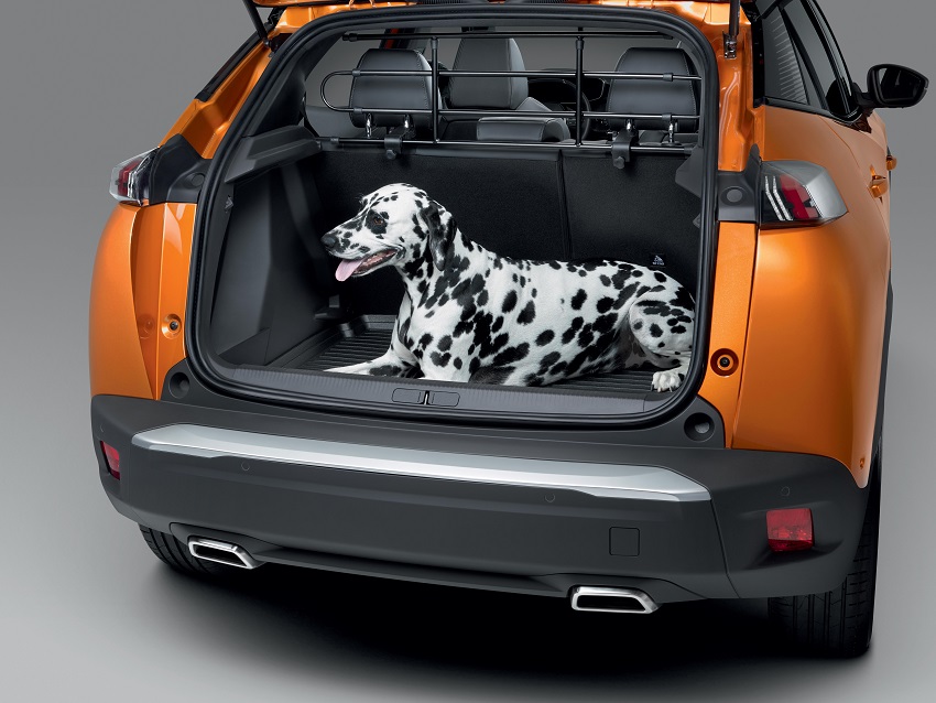 PEUGEOT Peugeot 2008 suv Dog guard