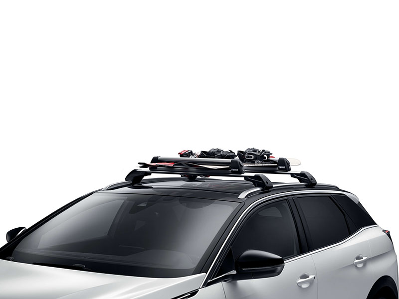 PEUGEOT 306 Ski carrier - 4 skis