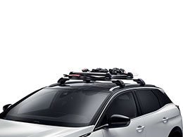 PEUGEOT Ski carrier - 4 skis